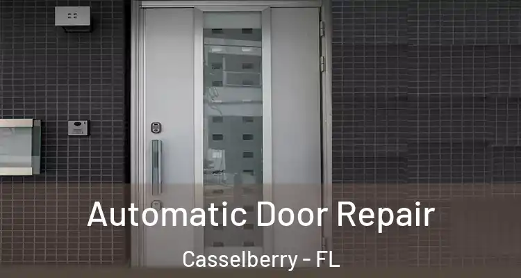  Automatic Door Repair Casselberry - FL