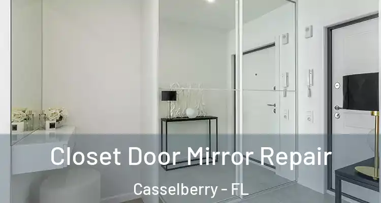  Closet Door Mirror Repair Casselberry - FL