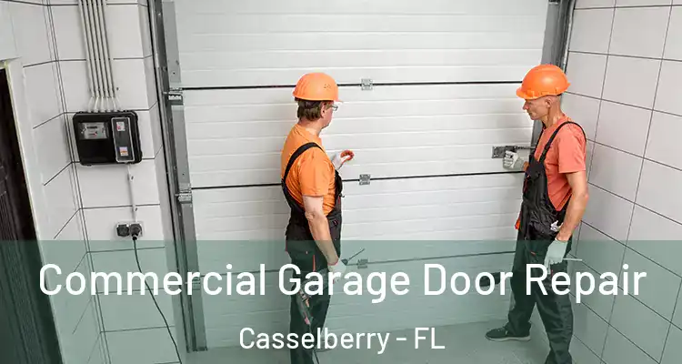  Commercial Garage Door Repair Casselberry - FL