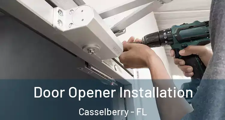  Door Opener Installation Casselberry - FL
