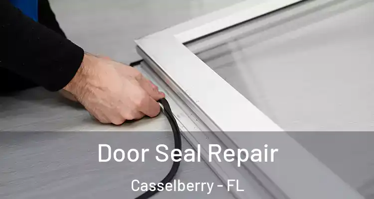  Door Seal Repair Casselberry - FL
