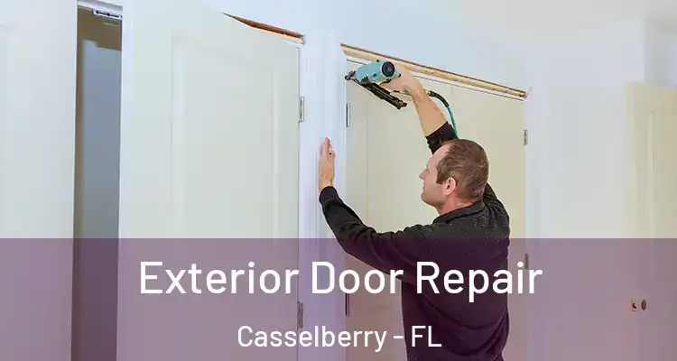  Exterior Door Repair Casselberry - FL
