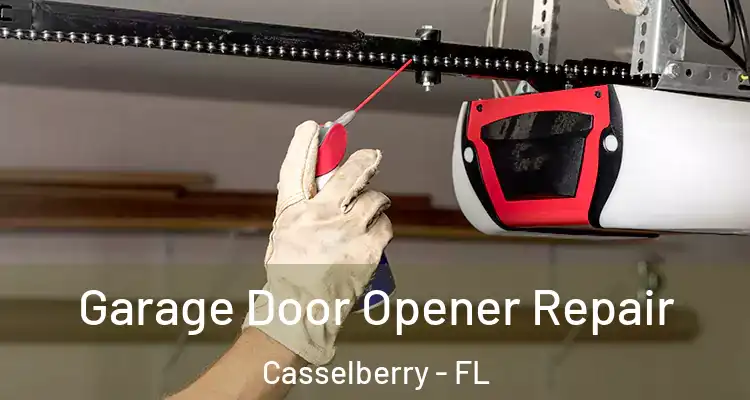  Garage Door Opener Repair Casselberry - FL