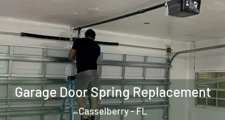  Garage Door Spring Replacement Casselberry - FL