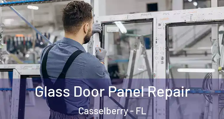  Glass Door Panel Repair Casselberry - FL