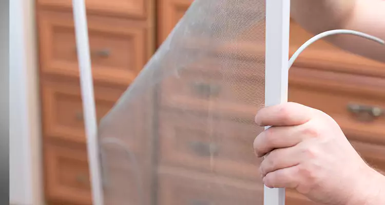 Privacy Mesh Screen Door Installation in Casselberry, FL