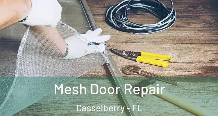  Mesh Door Repair Casselberry - FL