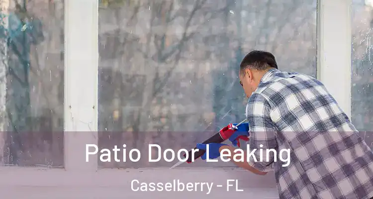  Patio Door Leaking Casselberry - FL