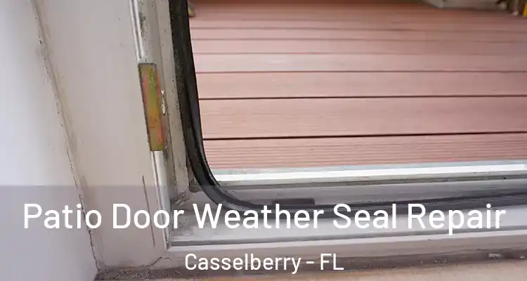  Patio Door Weather Seal Repair Casselberry - FL