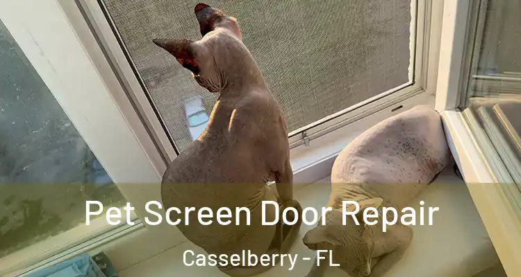  Pet Screen Door Repair Casselberry - FL