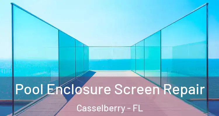 Pool Enclosure Screen Repair Casselberry - FL