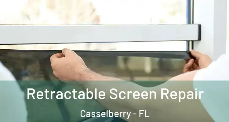  Retractable Screen Repair Casselberry - FL