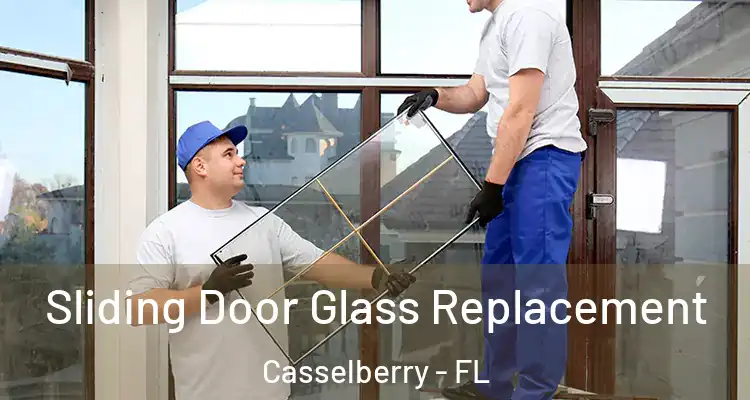  Sliding Door Glass Replacement Casselberry - FL