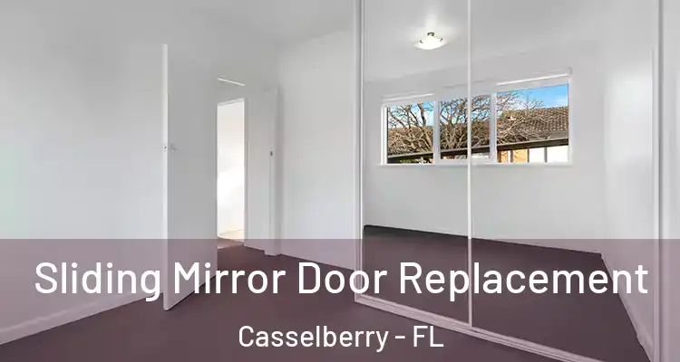  Sliding Mirror Door Replacement Casselberry - FL